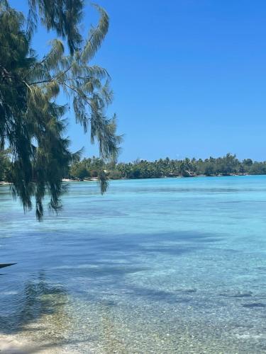 a view of the water from the beach at Nhn Lodge in Avatoru