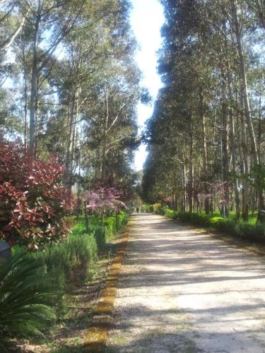 Paisaje cerca de este hotel