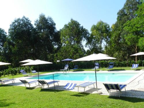 una piscina con sillas y sombrillas en Il Nibbio Reale Country House, en Rocca dʼEvandro