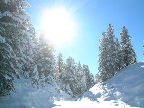 Ritas Alm en invierno