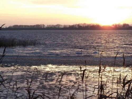 a large body of water with birds in it at Holiday apartment in Zirchow with barbecue in Zirchow
