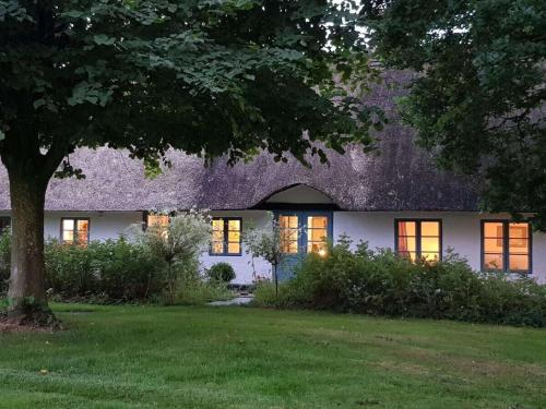 Zahrada ubytování Thatched cottage in the meadow