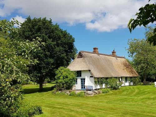 Zahrada ubytování Thatched cottage in the meadow