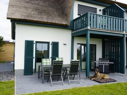 a dog laying on a rug in front of a house at Holiday home in Vaschvitz with sauna in Vaschvitz