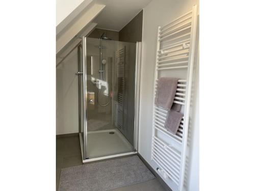 een douche in een badkamer met een glazen douchecabine bij 1-bedroom cottage in Hornsmühlen