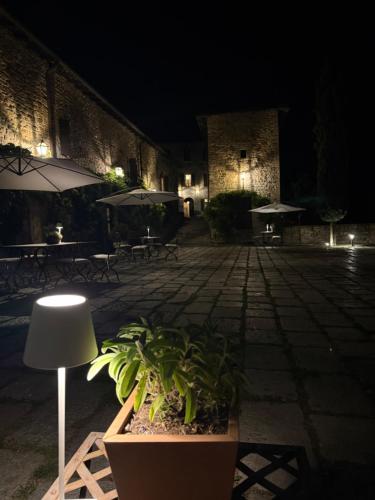 a patio at night with a plant and a lamp at Castello di Viano in Viano