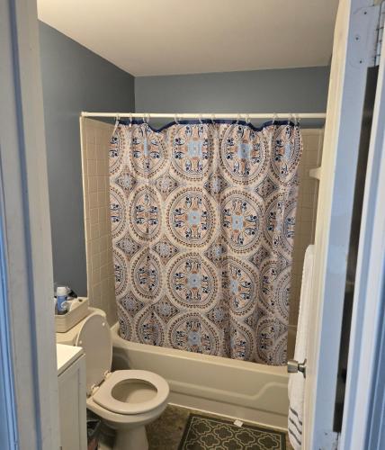 a bathroom with a shower curtain and a toilet at Guest Favorite in Upper Marlboro