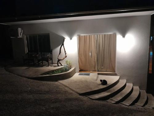 a cat sitting on the floor of a building at night at Pousada Baden Baden in Blumenau