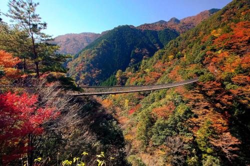 a bridge in the middle of a mountain with trees at Grids Premium Hotel Kumamoto in Kumamoto