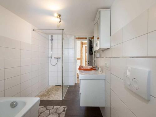 ein weißes Badezimmer mit Dusche und Waschbecken in der Unterkunft Holiday home with 2 bedrooms in Buschvitz
