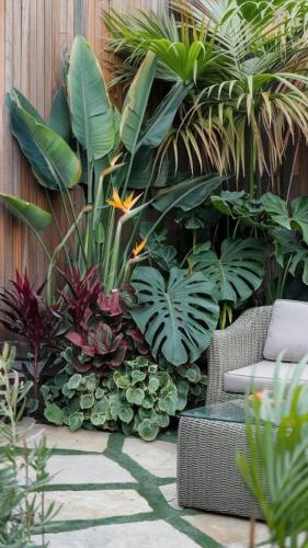a garden with a bunch of plants and a chair at Premium Hotel Saigon - Ben Thanh Market in Ho Chi Minh City