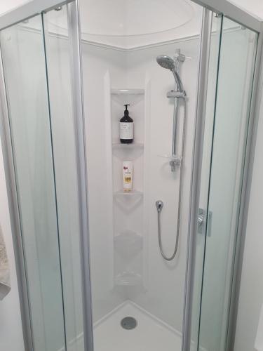 a bathroom with a shower with a glass door at Bronny's Beachfront BnB in Whitianga
