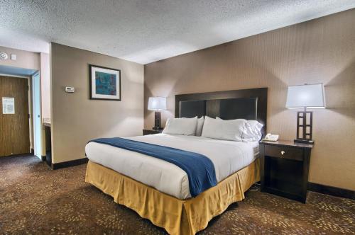a large bed in a hotel room with two lamps at Holiday Inn Express Detroit-Birmingham by IHG in Birmingham