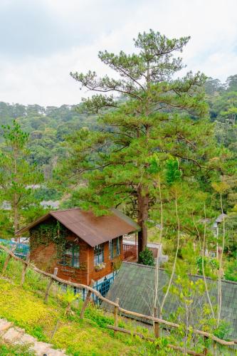 a small house on a hill with a tree at Huha's Farmstay Đà Lạt in Lạc Dương