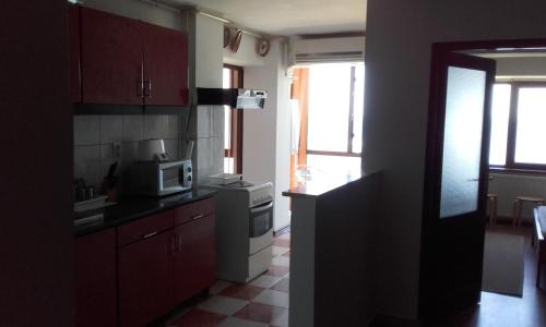 Kuchyň nebo kuchyňský kout v ubytování Apartment Nucu I