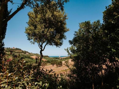a tree in the middle of a field with the ocean at Pleasant tent with swimming pool in Fermo