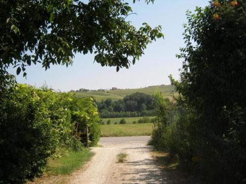 a dirt road in the middle of a field at Pleasant tent with swimming pool in Fermo