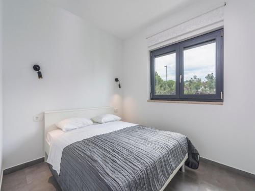 Villa in Novigrad with Private Pool and Beach