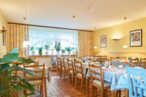 un restaurant avec des tables et des chaises et une grande fenêtre dans l'établissement Hotel-Pension Elfi, à Bad Bevensen