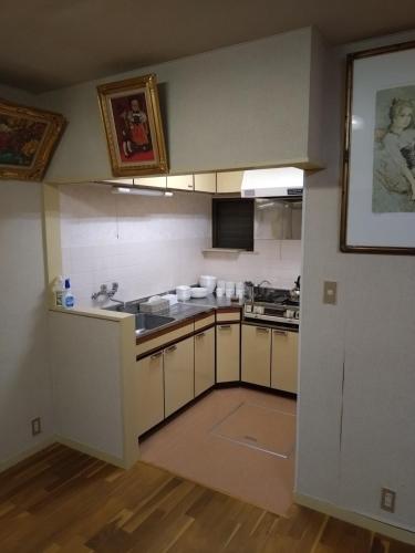 Kuchyň nebo kuchyňský kout v ubytování Mount Villa Atami