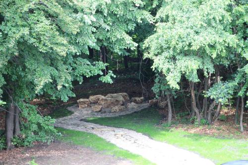 a garden with a stone path and trees at Cetatuia in Măgura