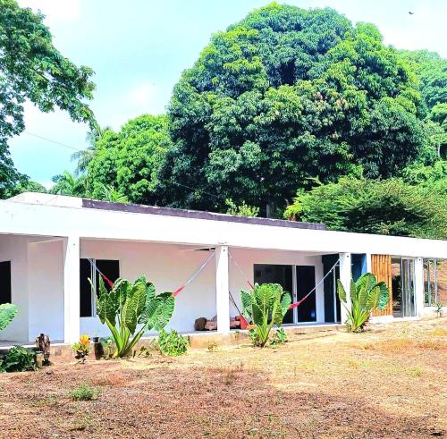 CALABAZO Casa MonoCai