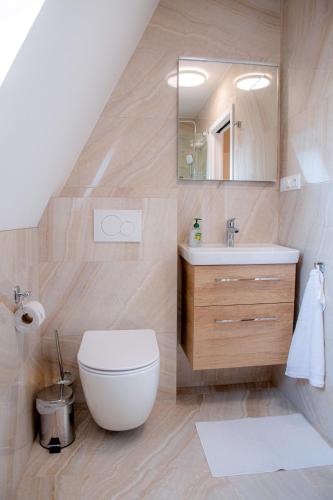 a bathroom with a toilet and a sink and a mirror at Penzion Na Staré Poště in Nymburk