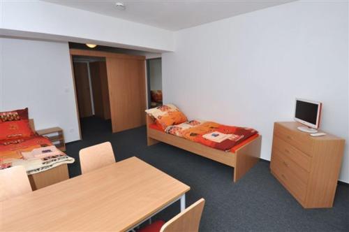 a room with a bedroom with a bed and a table at Sport Hotel Ticha Orlice in Ústí nad Orlicí