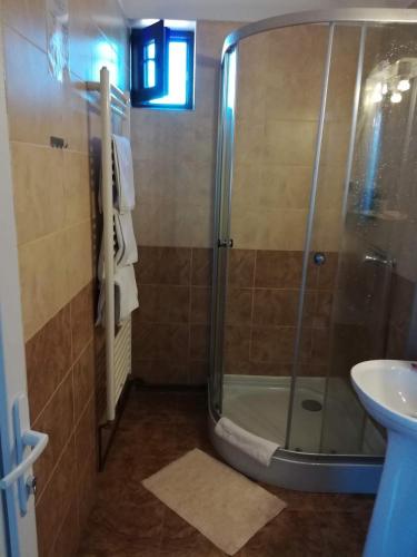a bathroom with a shower and a sink at Cazare Stefan in Curtea de Argeş