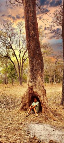 a person is sitting under a tree at Serenity View in Batheri