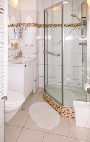 a bathroom with a shower and a toilet and a sink at Pension Pieschen Dresden in Dresden