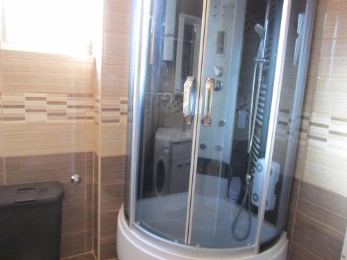 W łazience znajduje się przeszklony prysznic i toaleta. w obiekcie Apartment Domi Kvatric w Zagrzebiu