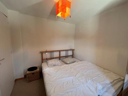 Appartement Châtel 4 pers, terrasse, parking