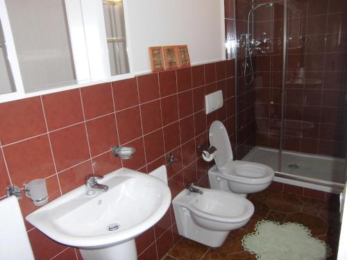 a bathroom with a sink and a toilet and a shower at MA.DI BB in Rocca San Giovanni