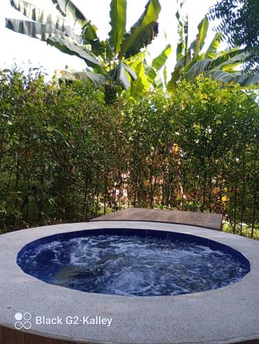 a small pool of blue water in a garden at Mangoo Glamping in Melgar