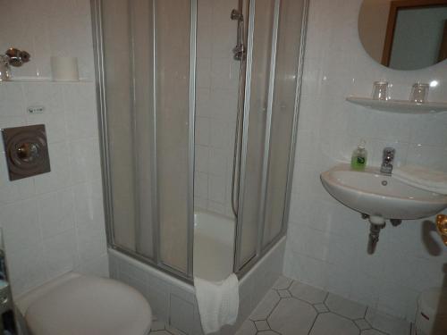 y baño con ducha, aseo y lavamanos. en Hotel Albena - garni Hotel, en Fürstenwalde