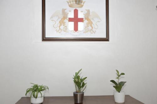 a picture on a white wall with two plants at Ca' du Pitta in Genova