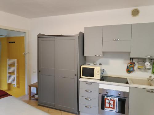 a kitchen with a refrigerator and a microwave at Anime Salve B&B HOME RESTAURANT in Sala Baganza