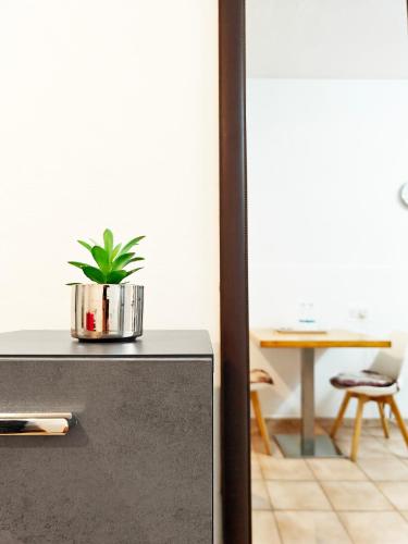 a plant in a pot on top of a refrigerator at Corner view 1 in Iż-Żlielaq