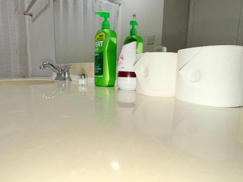 a bathroom sink with toilet paper and a bottle of mouthwash at Spacious 2BR Townhome in Richardson