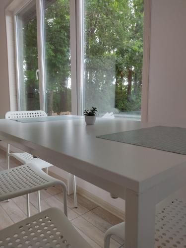 a white table and chairs in a room with a window at Дом с террасой in Svyatopetrivske