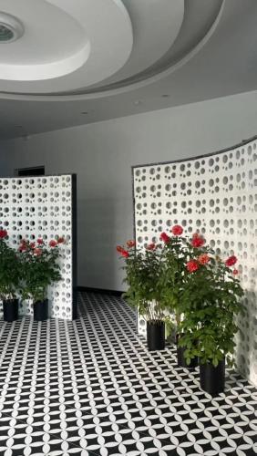Φωτογραφία από το άλμπουμ του Habibi Hotel σε Sóc Sơn
