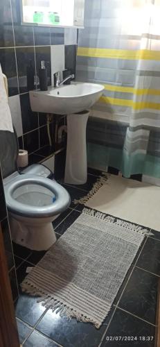 a bathroom with a toilet and a sink at Apartament Miruna in Moineşti