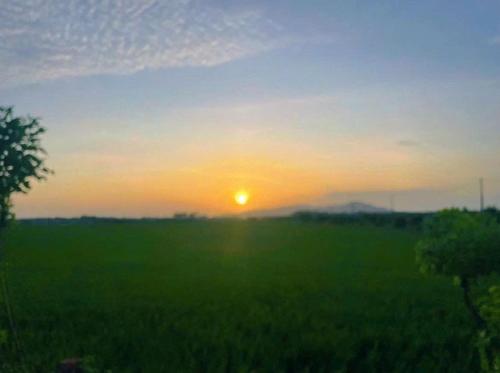にあるAn Nhiên Homestay- Cánh đồng An Nhấtの緑地に沈む夕日