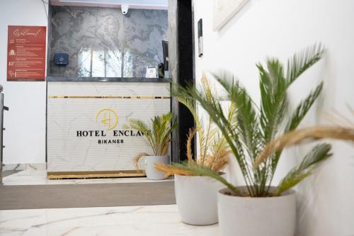 two potted plants sitting in front of a door at Hotel Enclave Bikaner in Bikaner