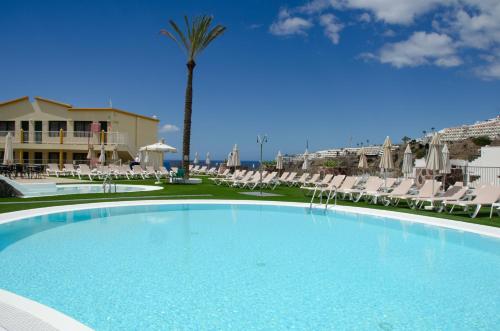 a large swimming pool with chairs and a palm tree at Apartamentos Natural Park in Puerto Rico de Gran Canaria