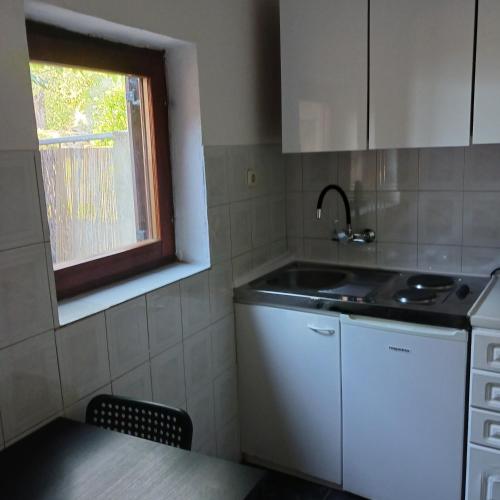 Η κουζίνα ή μικρή κουζίνα στο Apartments Elena & Damir