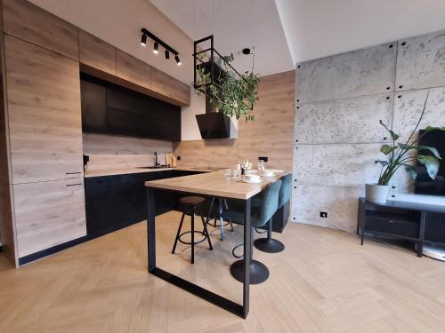Η κουζίνα ή μικρή κουζίνα στο Apartament LOFT
