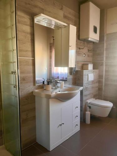 a bathroom with a sink and a toilet and a mirror at Apartment Vesna in Supetarska Draga