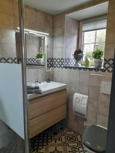 a bathroom with a sink and a mirror at Le Cerf volant in Libin